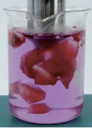 Essential oil extraction with an ultrasonic probe