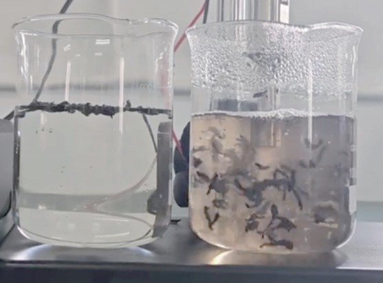 Tea extraction comparison with and without ultrasound